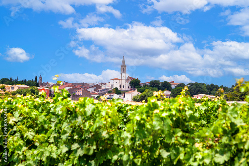 A view of old Maraussan, a commune in the Hérault department in southern France, with vineyards in the foreground.