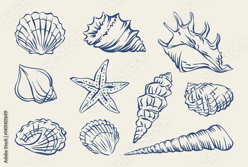 Seashell hand drawn in ink set. Vector illustration of marine shells. Summer vacation doodle shells for card, poster, menu, banner. Tropical nautical beach shell collection for summer design.