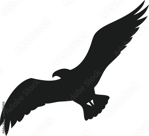 Majestic Osprey Silhouette Soaring Bird of Prey in Flight