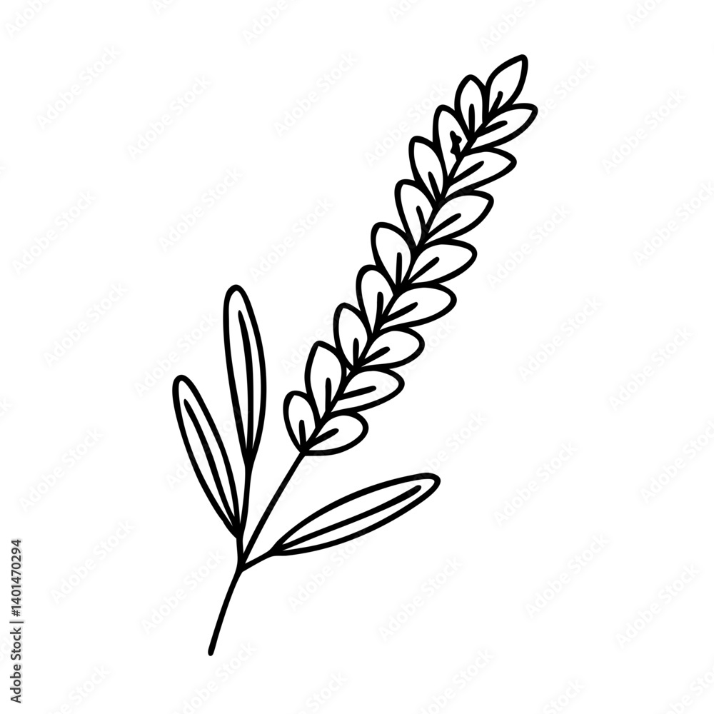 lavender sprig icon, lavender sprig line art - simple line art of lavender sprig, perfect for lavender sprig logos and icons lavender sprig icon, lavender sprig line art - simple line art of lavender sprig, perfect for lavender sprig logos and icons