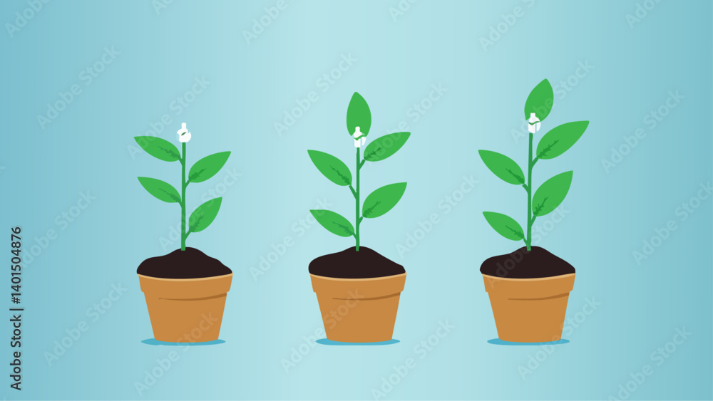 Business Growth with Online Marketing Strategy Business Growth with Online Marketing Strategy