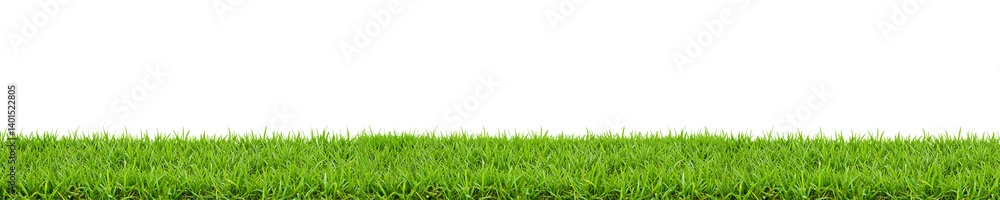 Fresh Green Grass Edge On Transparent Background
Fresh Green Grass Edge On Transparent Background