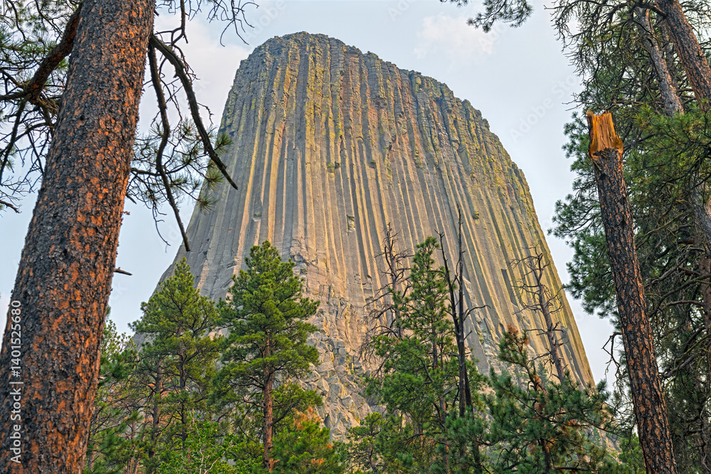 Monolith Framed by the Forest Trees