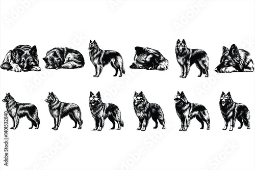Belgian Tervuren SVG Bundle