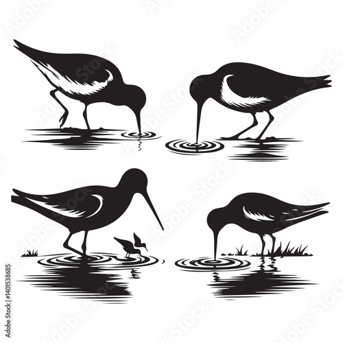Shorebird Silhouette Foraging Vector Wildlife Nature Scene Illustration