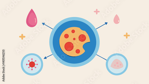 Healing Process Visualization A diagrammatic representation showing how exosomes promote healing and skin regeneration at a cellular level.