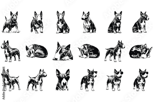 Miniature Bull Terrier SVG Bundle
