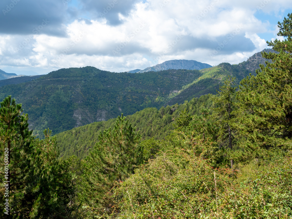Fototapeta premium hills in the Southern Alps in France