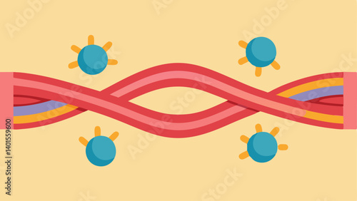 Elastic Band Illustrate elastic fibers resembling a rubber band stretching between two points symbolizing increased elasticity due to the synergy of elastin collagen and exosomes.