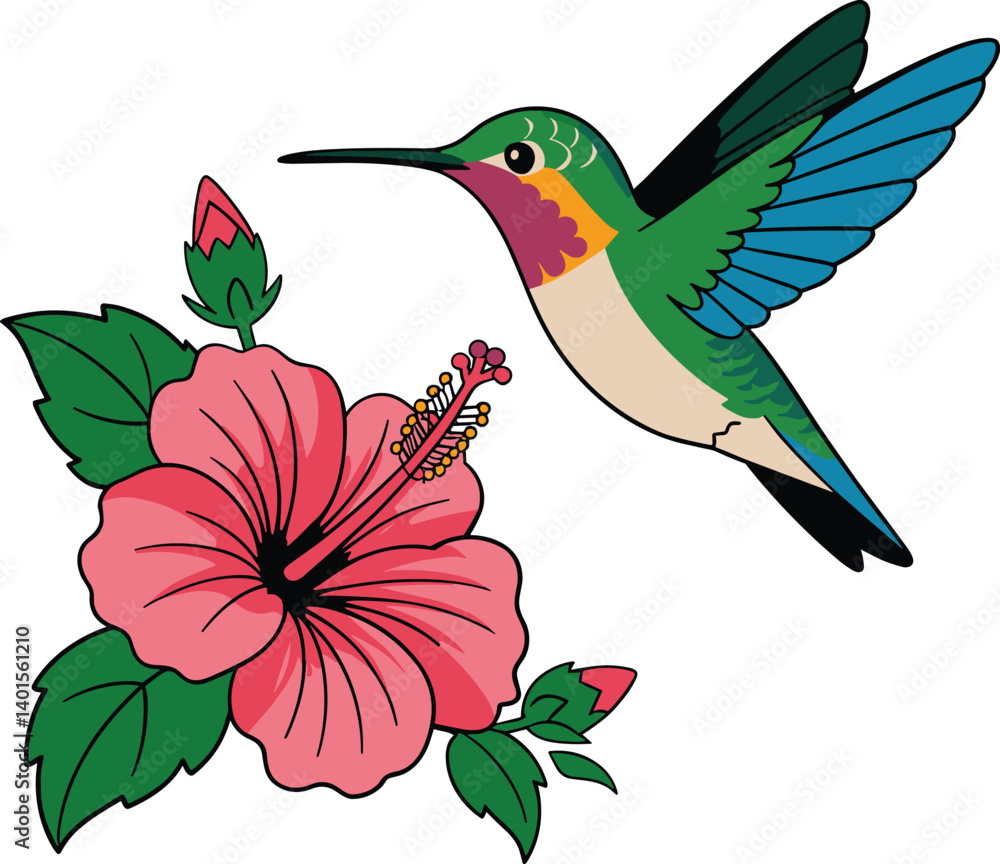 Fototapeta premium Hummingbird and flower vector. Colorful flying Colibri and tropical flower vector illustration on white background. Suitable for printing, baby books, t-shirts and other graphics resources.