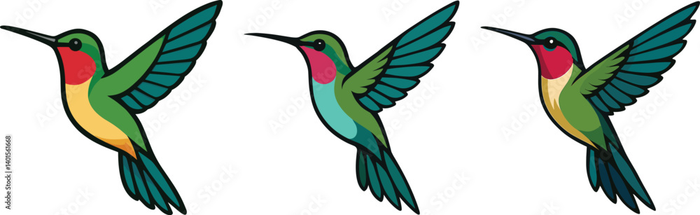 Fototapeta premium Hummingbird. Set of hummingbird vector illustrations on a white background. Colibri vector set can be used as graphic resources.