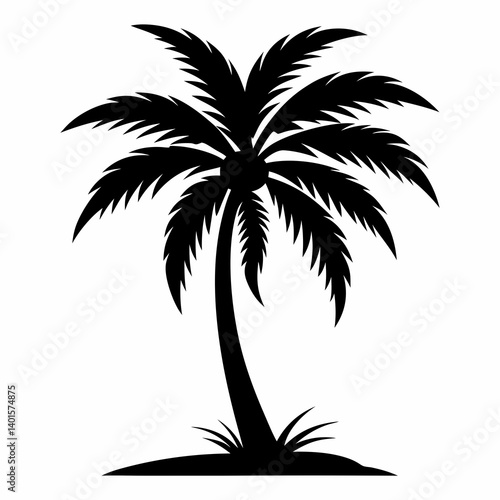 palm tree silhouette