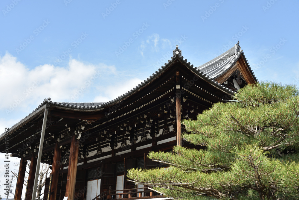 金戒光明寺 御影堂(大殿)と松 金戒光明寺 御影堂(大殿)と松