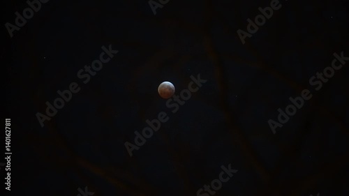Lunar Eclipse