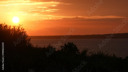 Sunset Glow Through Silhouetted Tropical Plants
