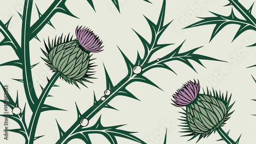 Wild thistles with dew drops against a light background  