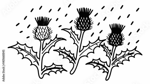 Thistles with dew drops illustrated against rain background  