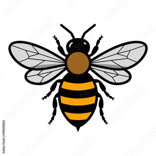 Top view of a bee with a black head, brown thorax, and a black and yellow striped abdomen