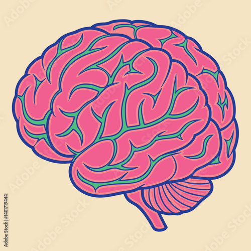 Human Brain Vector Illustration, Top View Anatomical Graphic