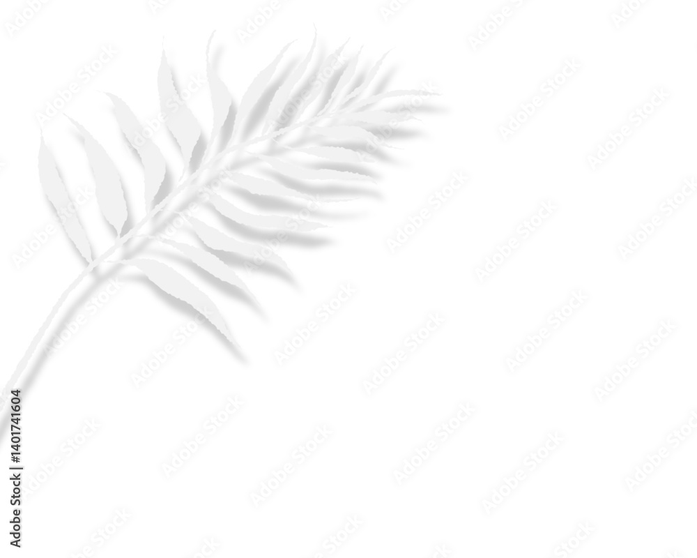 Obraz premium シンプルな白の南国パームツリーの葉ベクター背景透過イラスト背景素材