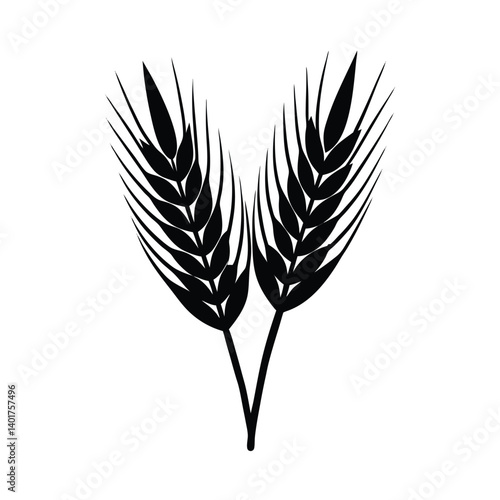 Isolated Barley Grain Vector Drawing
