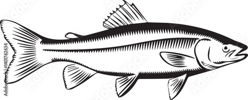 Detailed Black and White Line Art Illustration of a Fish