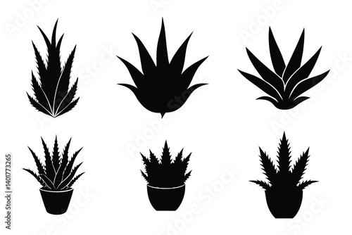 aloe vera black silhouette on white background.