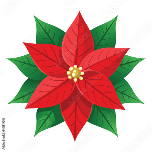 Christmas poinsettia isolated on white background