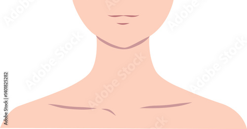 正面を向いた女性のデコルテのイラスト素材