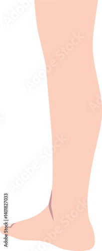 女性のふくらはぎのパーツイラスト