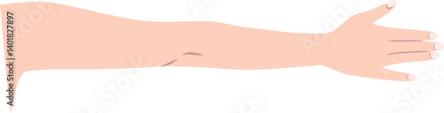 伸ばした腕（手の甲）のパーツイラスト