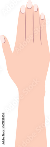 女性の手の甲のパーツイラスト