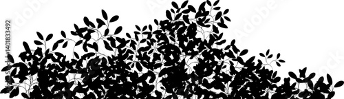 bushes silhouette black