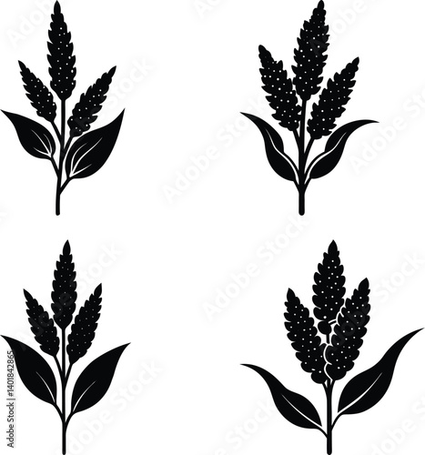 Quinoa silhouette vector