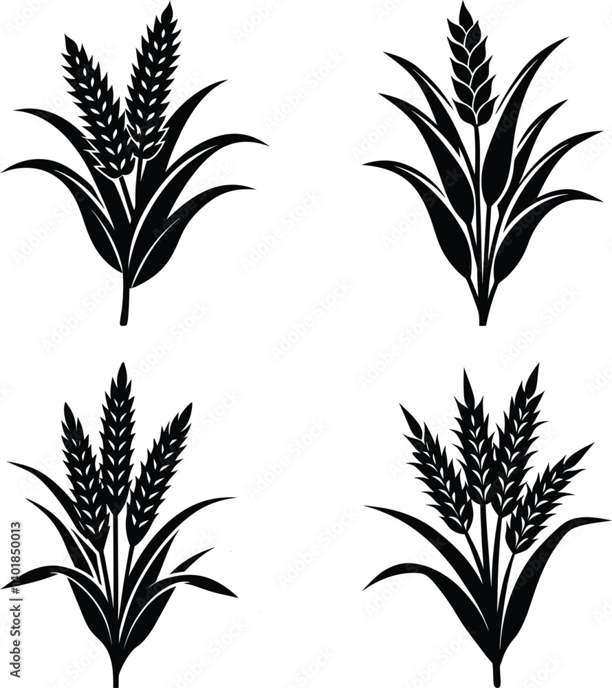 Obraz premium Millet silhouette vector