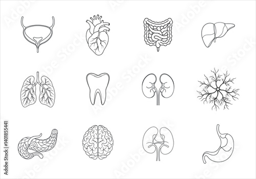 Human organs and body systems are illustrated with simple black line drawings arranged in a grid layout on a light background