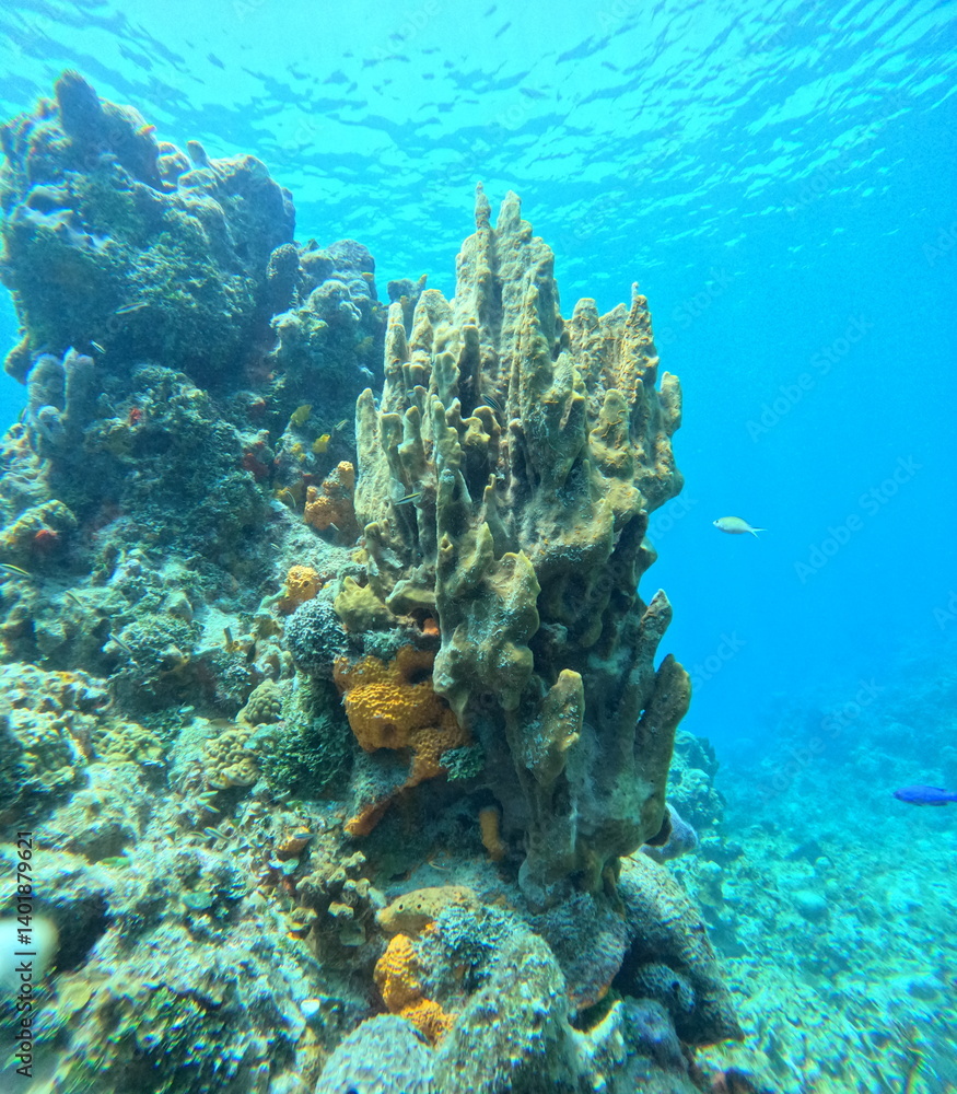 Fototapeta premium DCIM\100GOPRO\GOPR8589.JPG