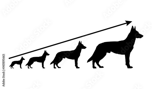 Growth Stages of Dog with Arrow Silhouette 