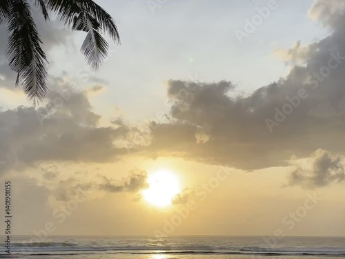 Warm golden sunset over calm gray-blue ocean with wispy clouds. Palm leaf silhouette frames this serene sunrise/sunset coastal scene.