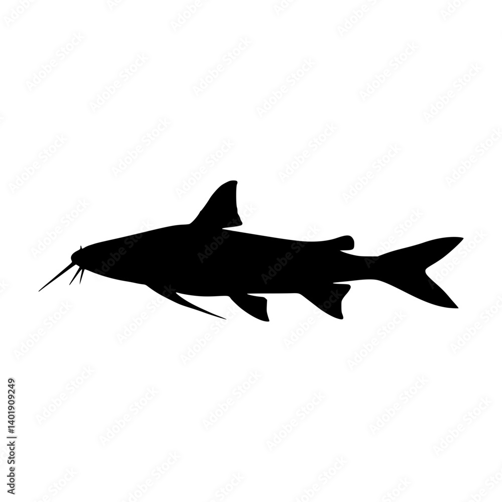 Fototapeta premium Catfish Silhouette Vector Graphic