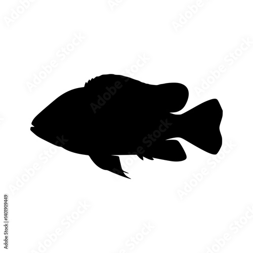 Alkali Cichlid Fish Silhouette Vector Icon