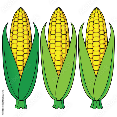 Corn vector flat icon of sweet vegetable isolated on white background, Yellow Corn Cob or Maize