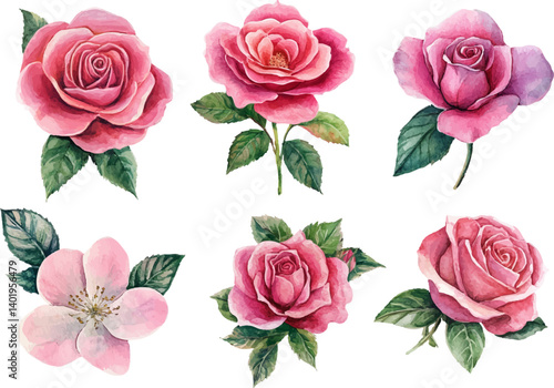 Botanical Watercolor Pink Rose – Romantic Wedding Element