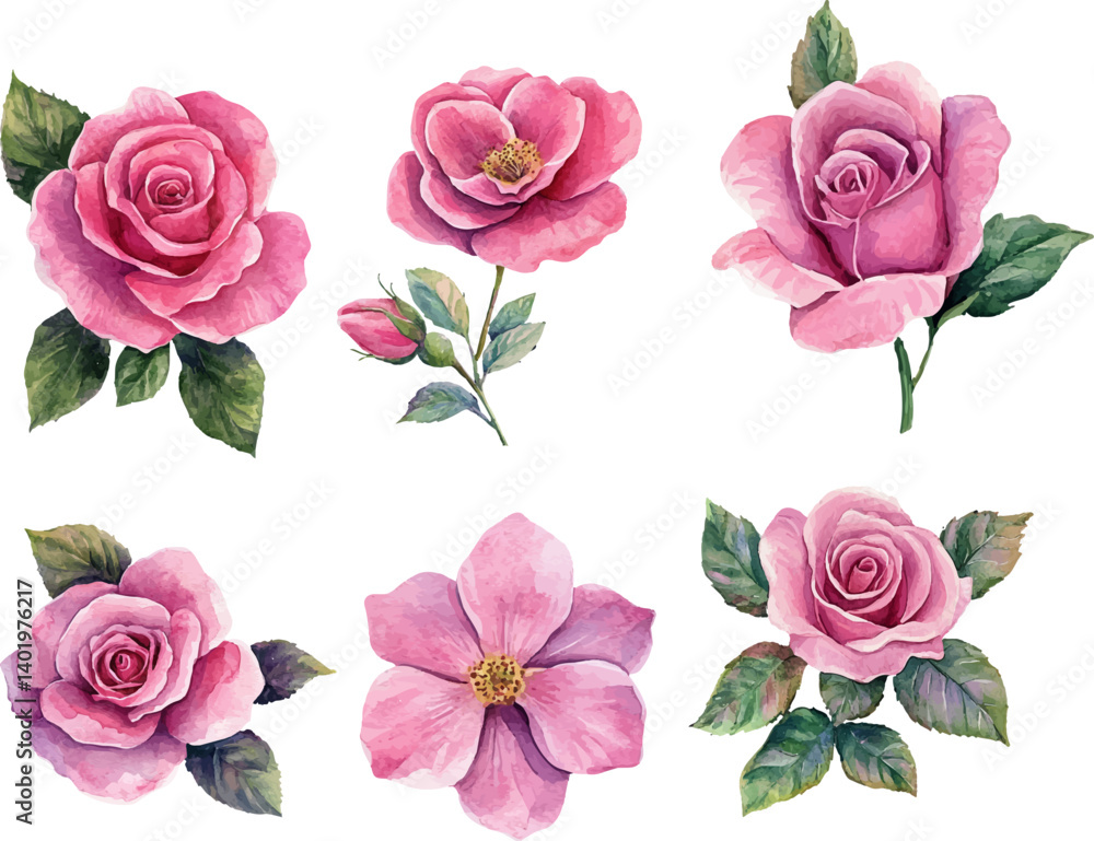 Naklejka premium set of pink roses vector