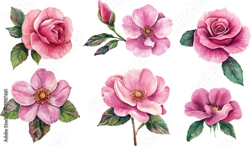 set of watercolor flowers