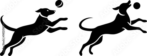 Two Dark Dogs Playing Fetch With A Ball
