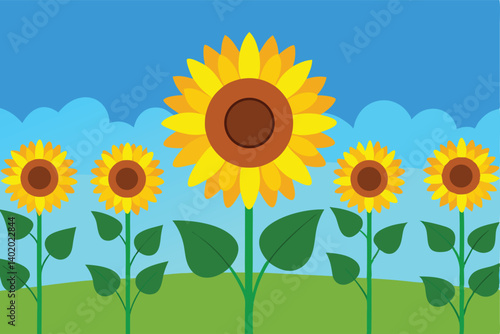 blooming sunflower field with clear blue sky vector illustration