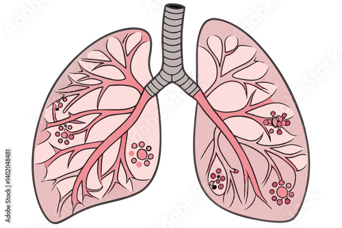 40 Anatomical illustration, human lungs, alveoli detail, bronchial tubes, circulatory system, cross-section view, medical textbook style, color-coded organs, high detail, scientific accuracy, educatio