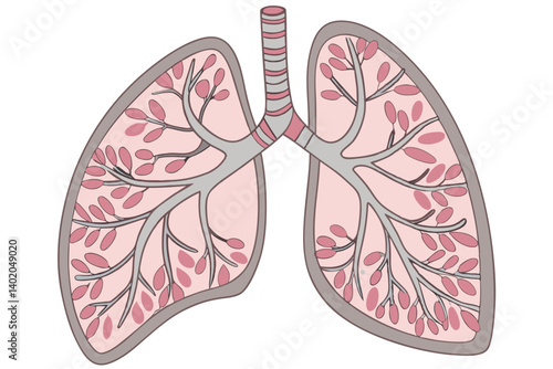 40 Anatomical illustration, human lungs, alveoli detail, bronchial tubes, circulatory system, cross-section view, medical textbook style, color-coded organs, high detail, scientific accuracy, educatio