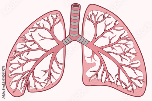 40 Anatomical illustration, human lungs, alveoli detail, bronchial tubes, circulatory system, cross-section view, medical textbook style, color-coded organs, high detail, scientific accuracy, educatio